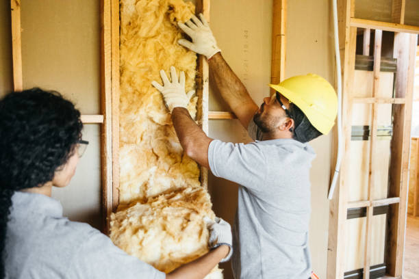 Best Insulation Contractor Near Me  in Sto Brook University, NY