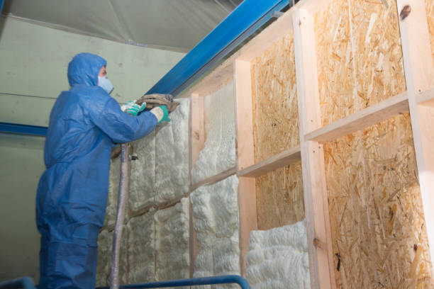 Best Insulation Replacement Services  in Sto Brook University, NY
