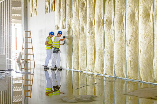 Best Residential Insulation Services  in Sto Brook University, NY